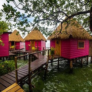 Urraca Monkey Island Eco Resort (Adults Only)
